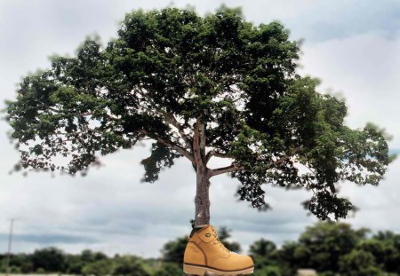 TROPOS, USO DEL LENGUAJE FIGURADO.